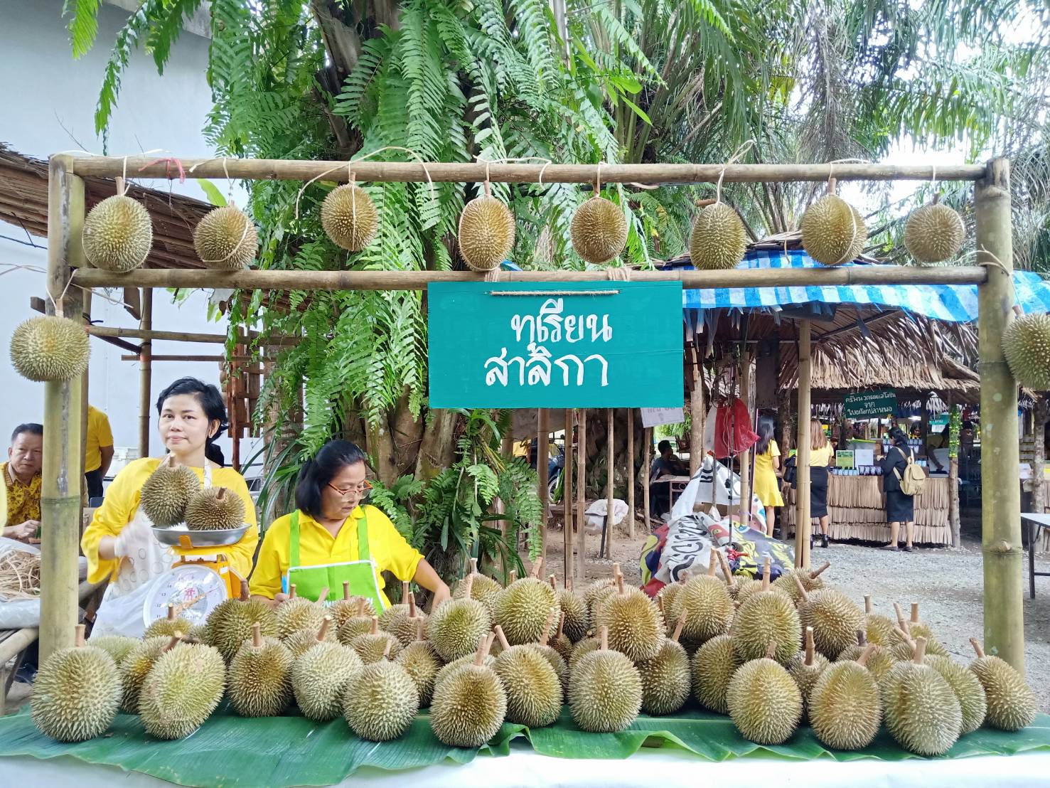 มหาวิทยาลัยราชภัฏภูเก็ต MOU จังหวัดพังงา ร่วมขับเคลื่อนการดำเนินงานเพื่อพัฒนาและยกระดับคุณภาพชีวิตของชาวจังหวัดพังงา