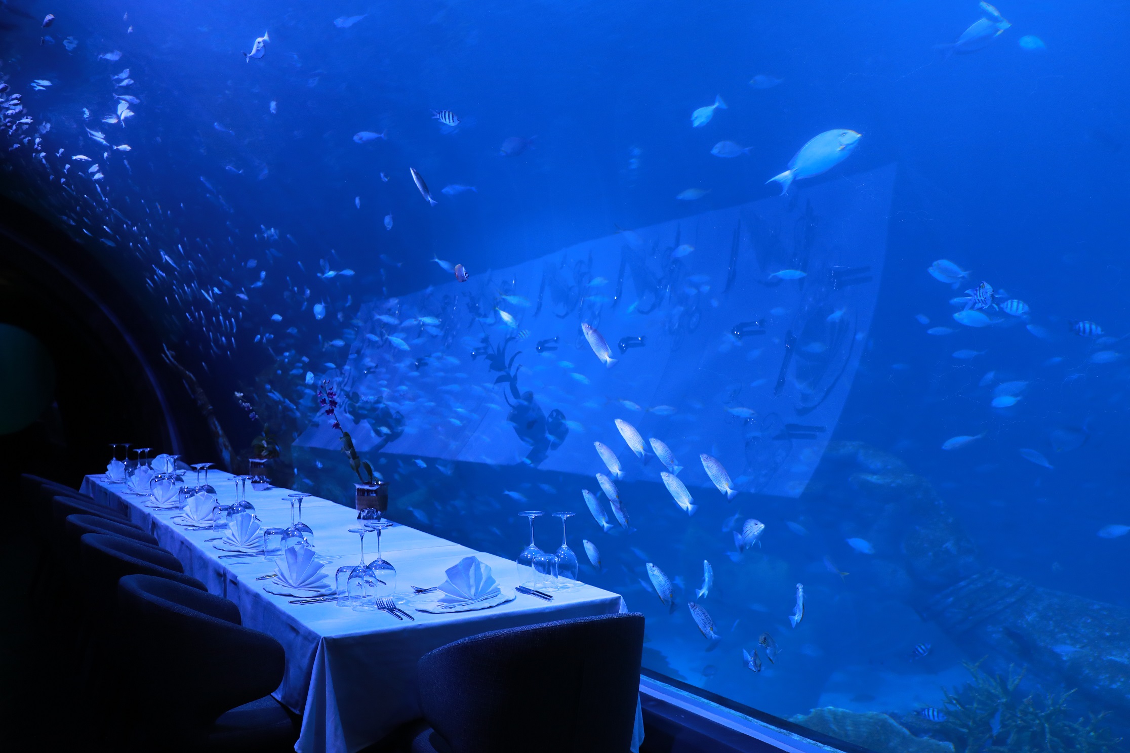 เปิดแล้ว ‘AQUARIA Phuket’ อควาเรียมโมเดลใหม่ครั้งแรกและใหญ่ที่สุดในไทย และ ‘ANDASI’ ร้านอาหารใต้น้ำที่ใหญ่ที่สุดในโลก